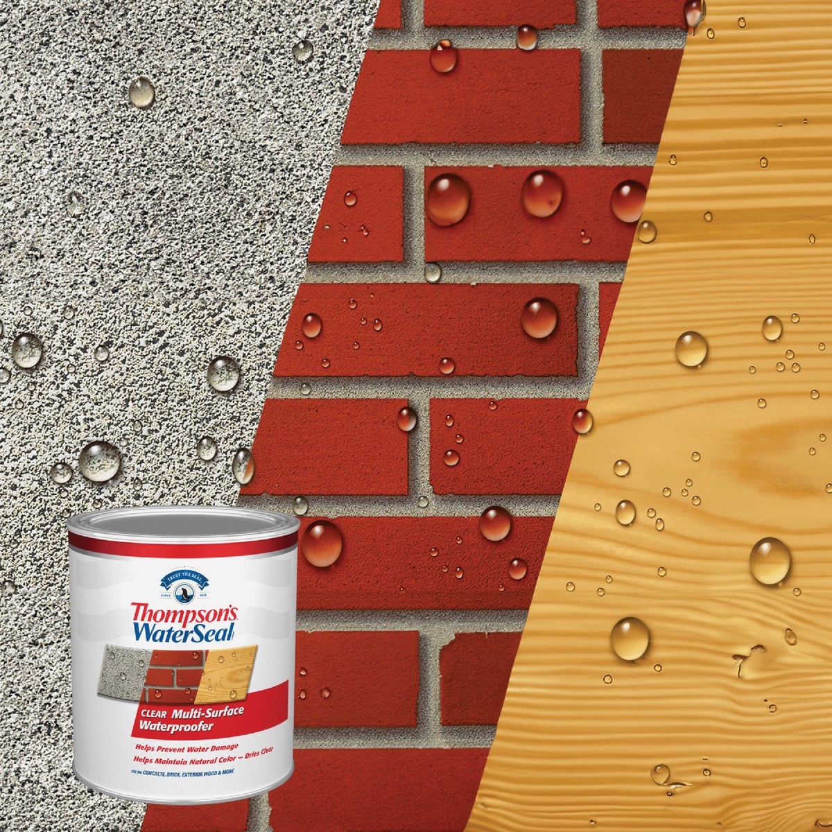 Thompsons Company VOC Clear MultiSurface Waterproofing Sealer