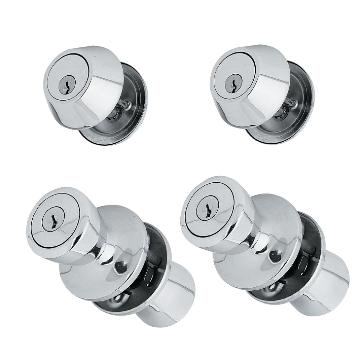 SC CP TULIP CMBO QUAD PK - 5762/D101SC-ET-QP-CP by Do it Best