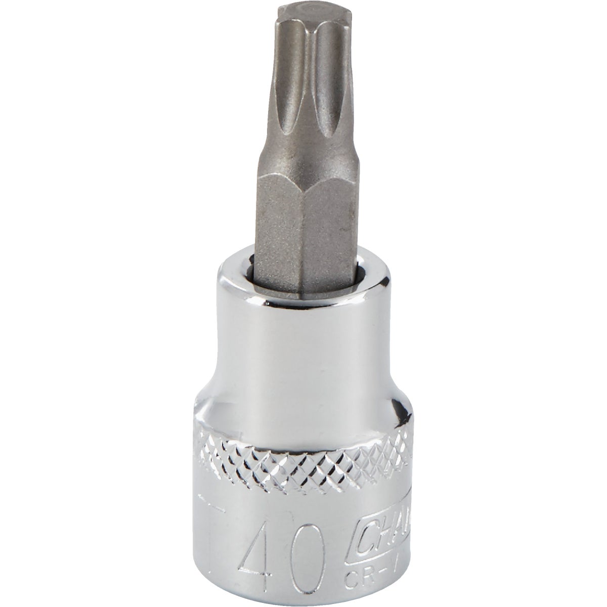T40 TORX BIT SOCKET - 370029 by Bwt Inc