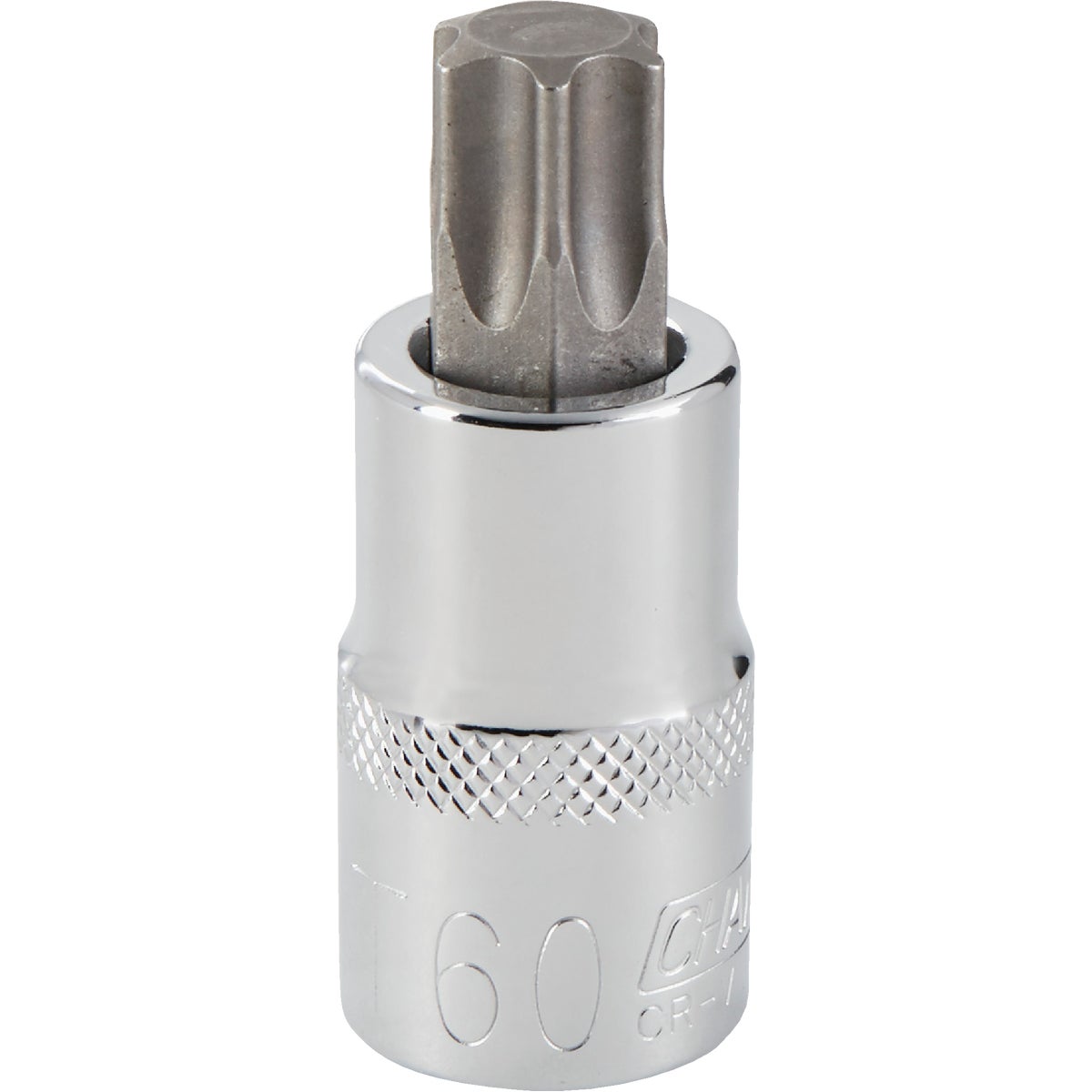 T60 TORX BIT SOCKET - 371025 by Bwt Inc