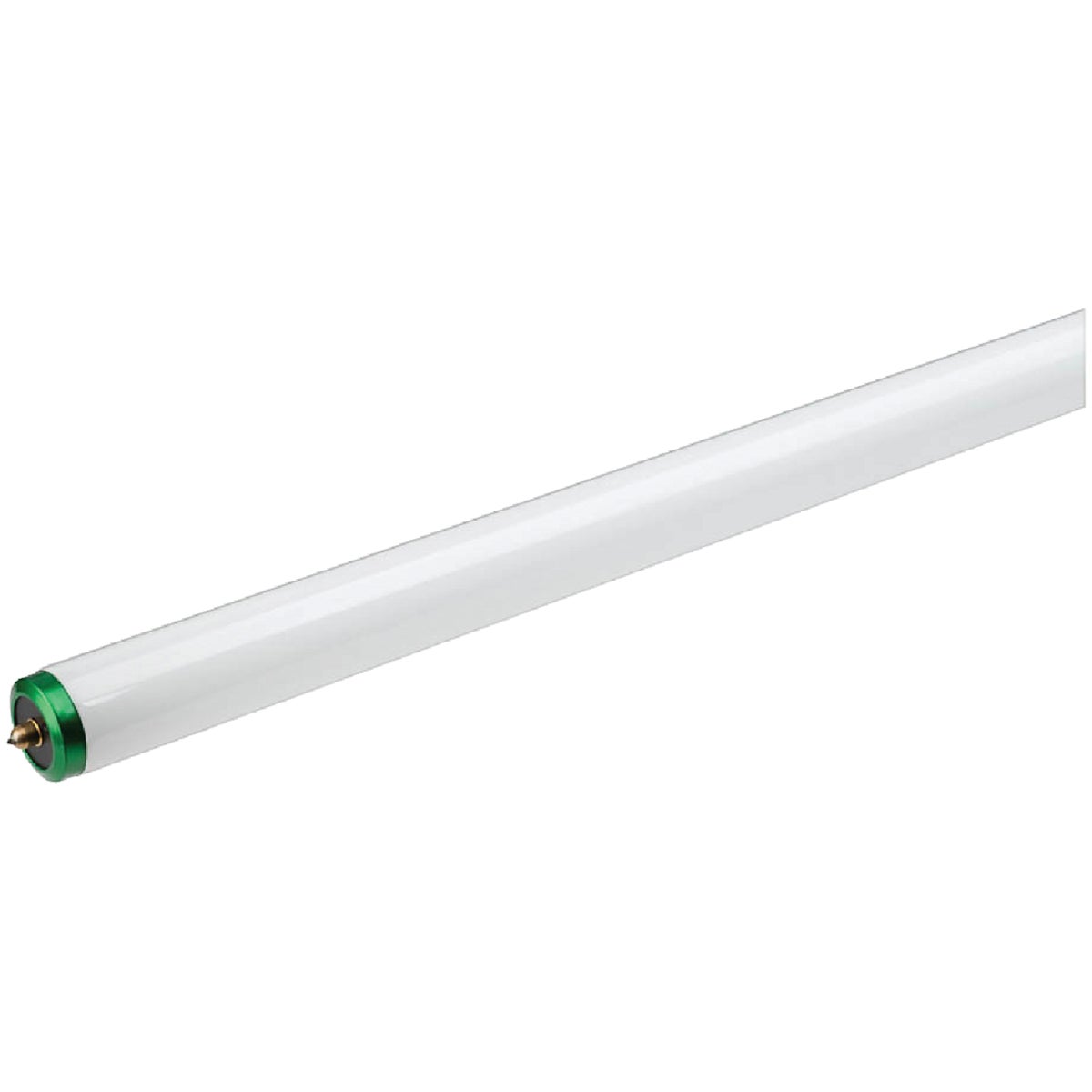 Fluorescent Light Bulbs