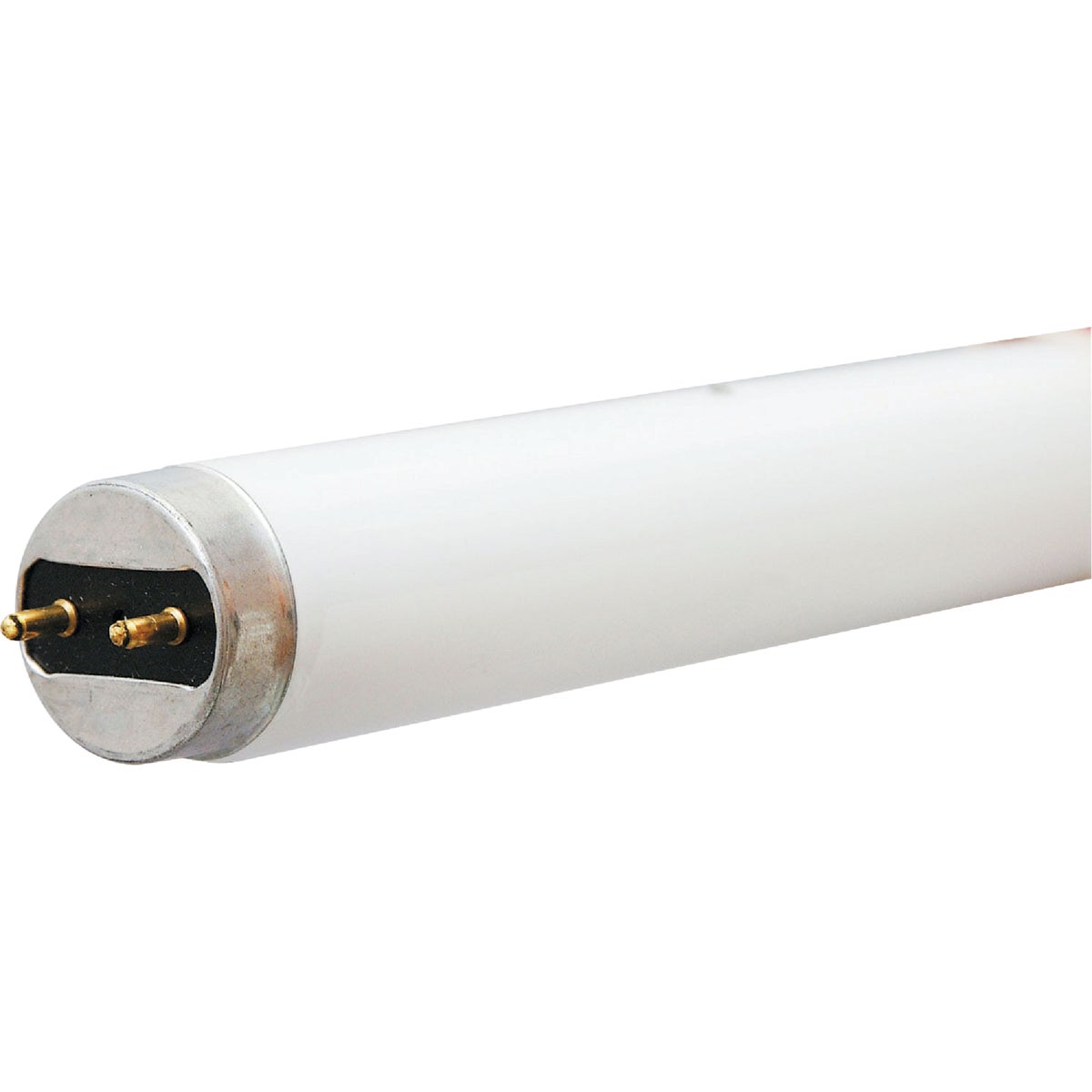 17W 24" T8 CW FLUOR TUBE - 45748 F17T8/S41/ECO by G E Lighting