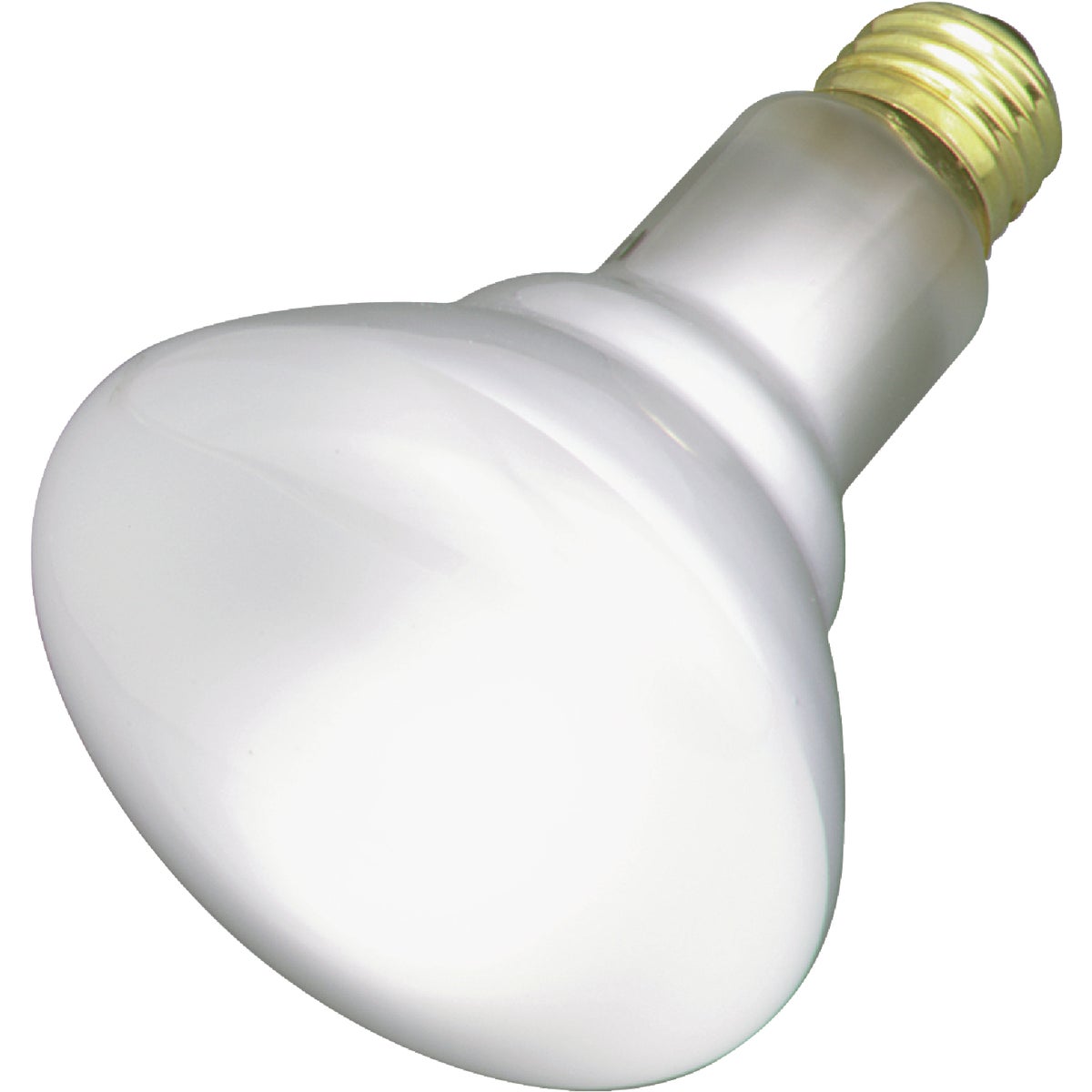 65W REFLECTOR BULB - 20331 65R/FL/MI by G E Lighting