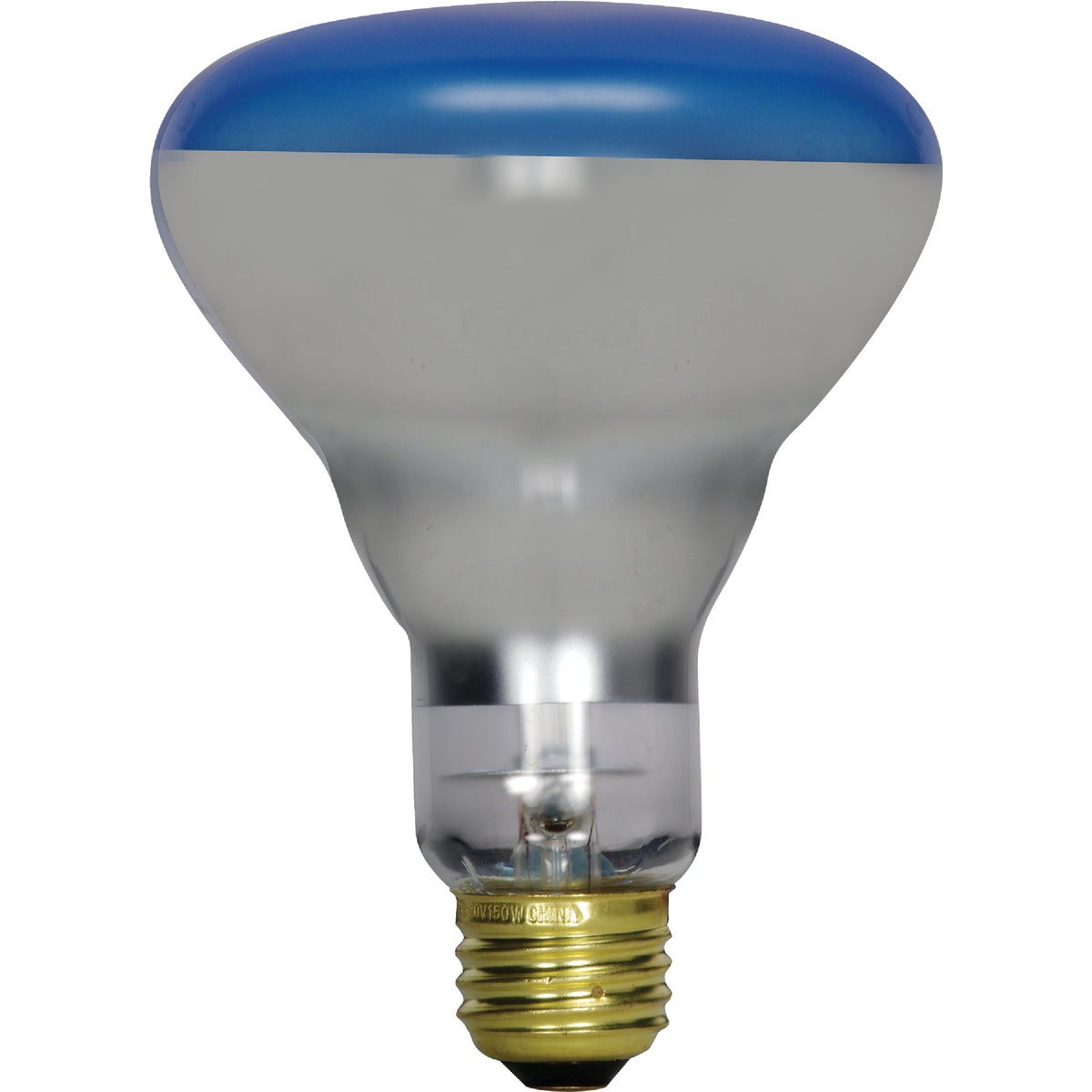 120W PLANT LIGHT BULB - 21000 120R40/PL by G E Lighting
