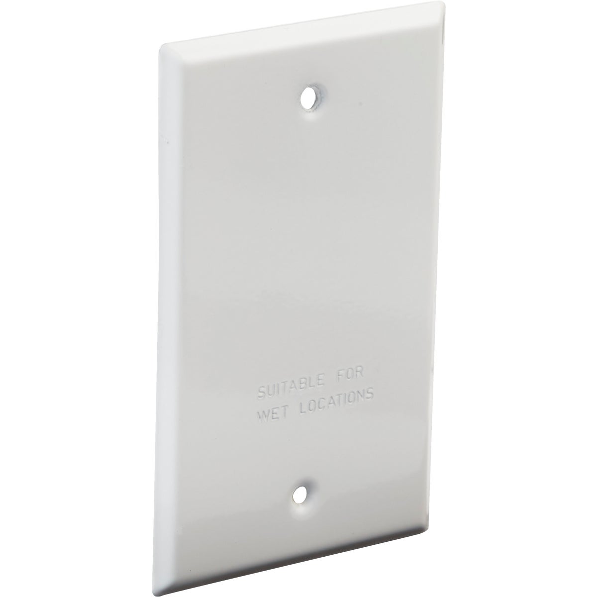 WHT OUTDOOR BLANK COVER - 5973-1 by Hubbell
