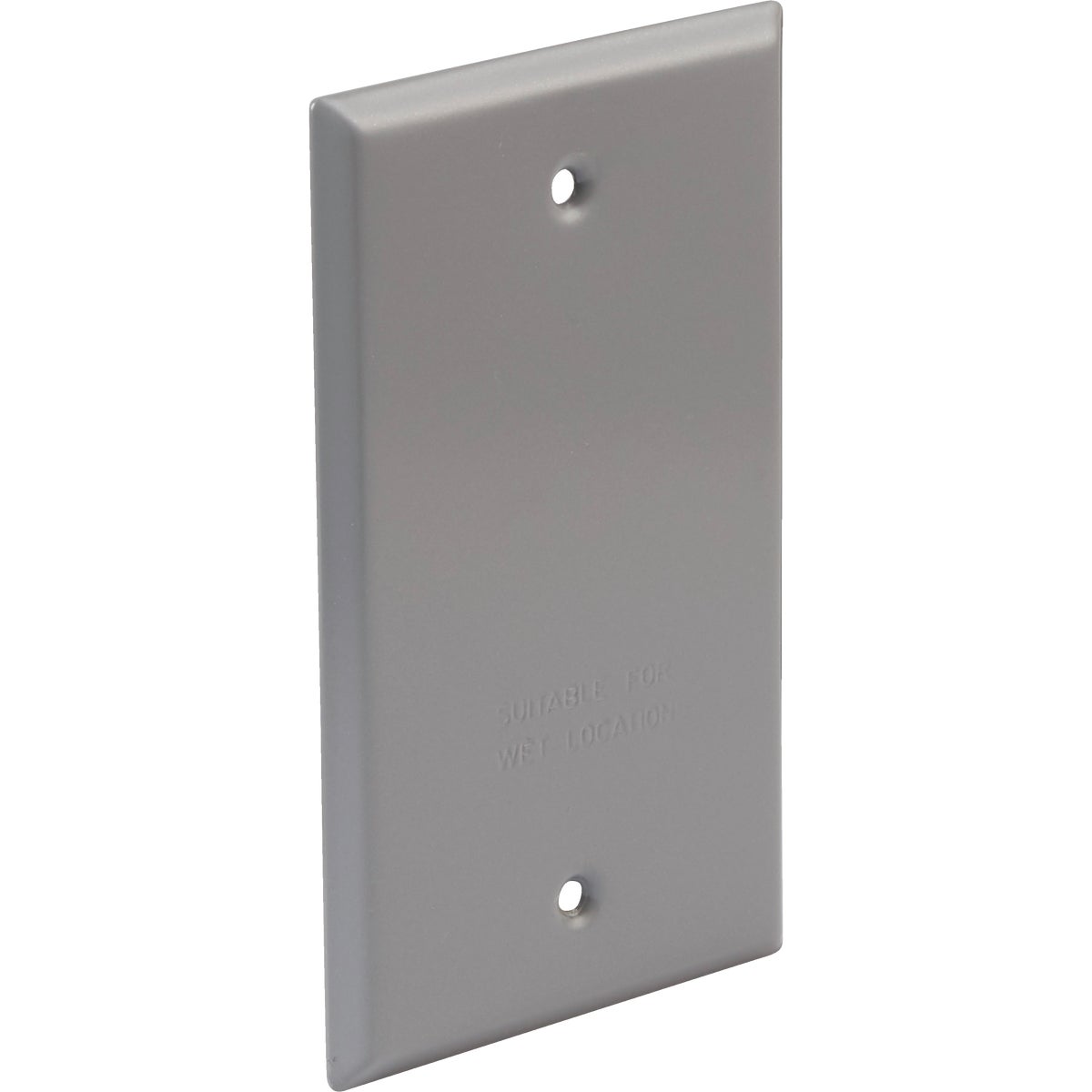 GRAY OUTDR BLANK COVER - 5973-0 by Hubbell