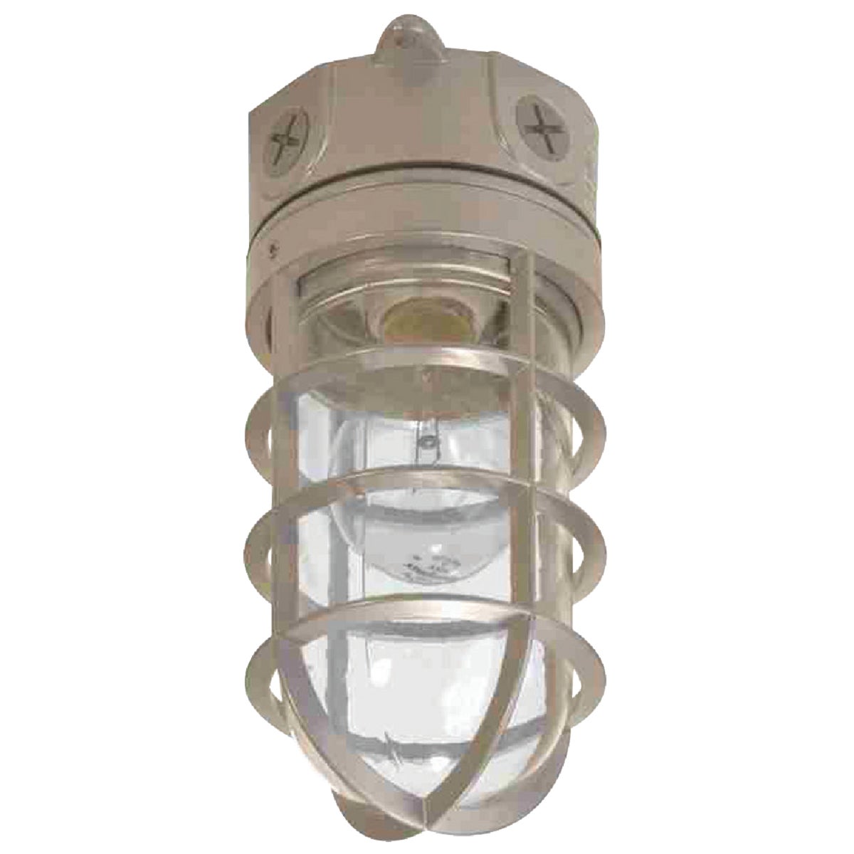 Barn Light Fixture