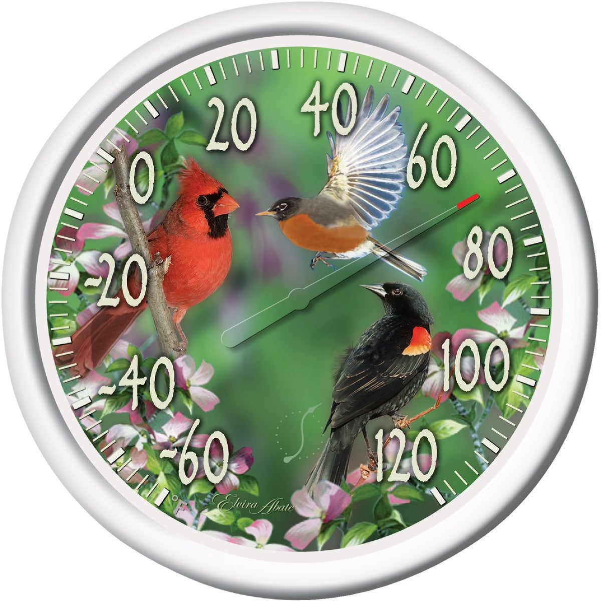 BIRDS DIAL THERMOMETER - 90007-217 by Taylor Precision