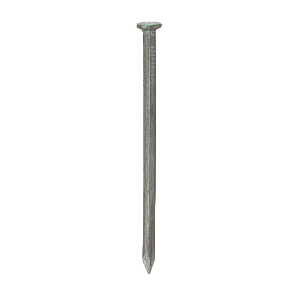 30LB 8D BRT COMMON NAIL - 706162 by Primesource