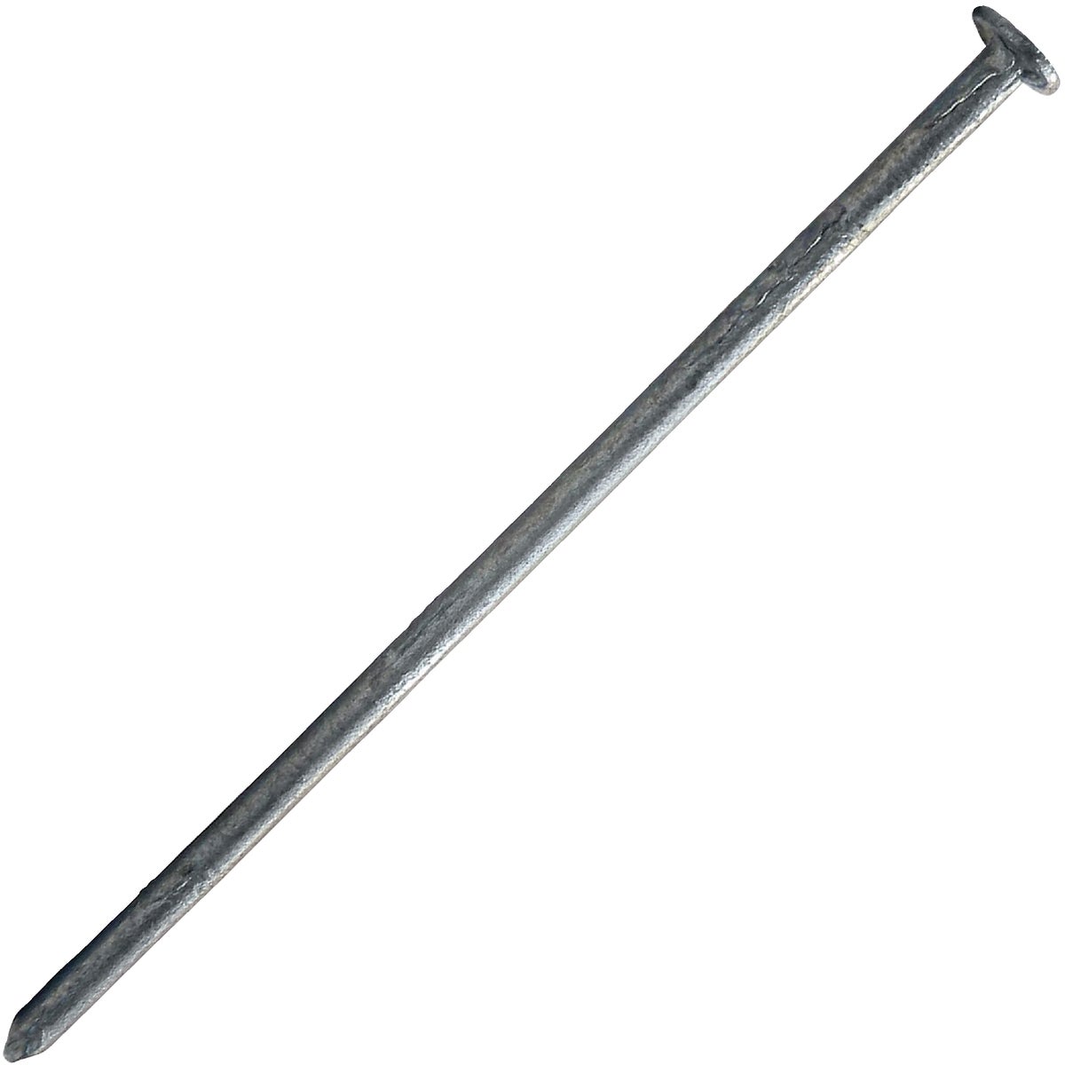 50LB 2-1/2" SIDING NAIL - S227050 by Maze W H Co