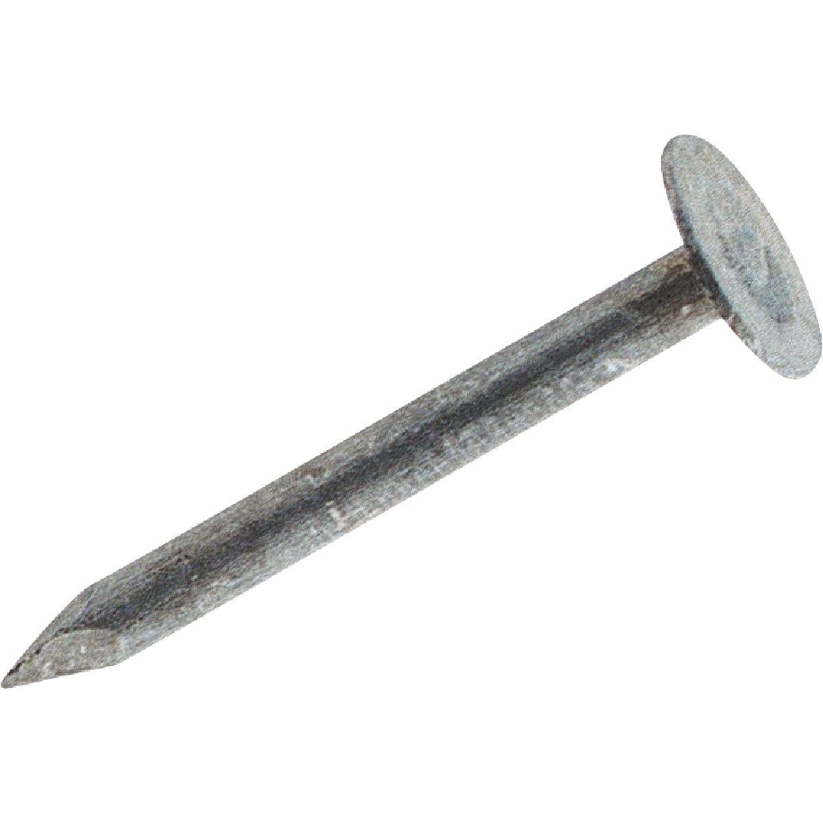 50LB 2-1/2" EG ROOF NAIL - 212EGRFG by Primesource