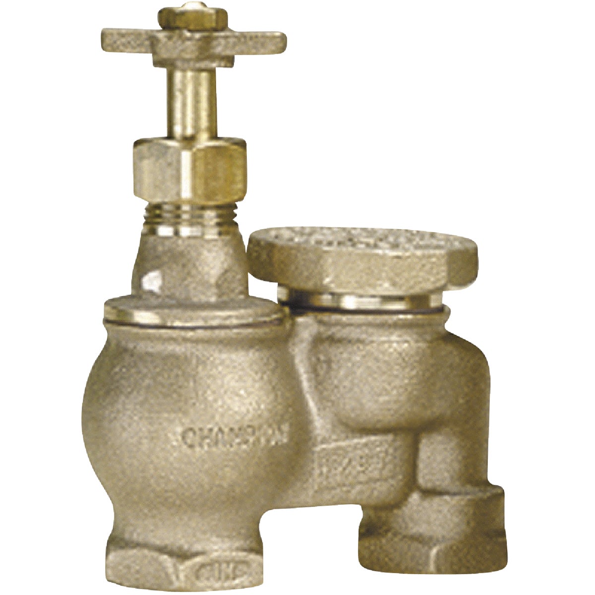 1" Anti-syphon Valve - IASV100 by Champion Arrowhead
