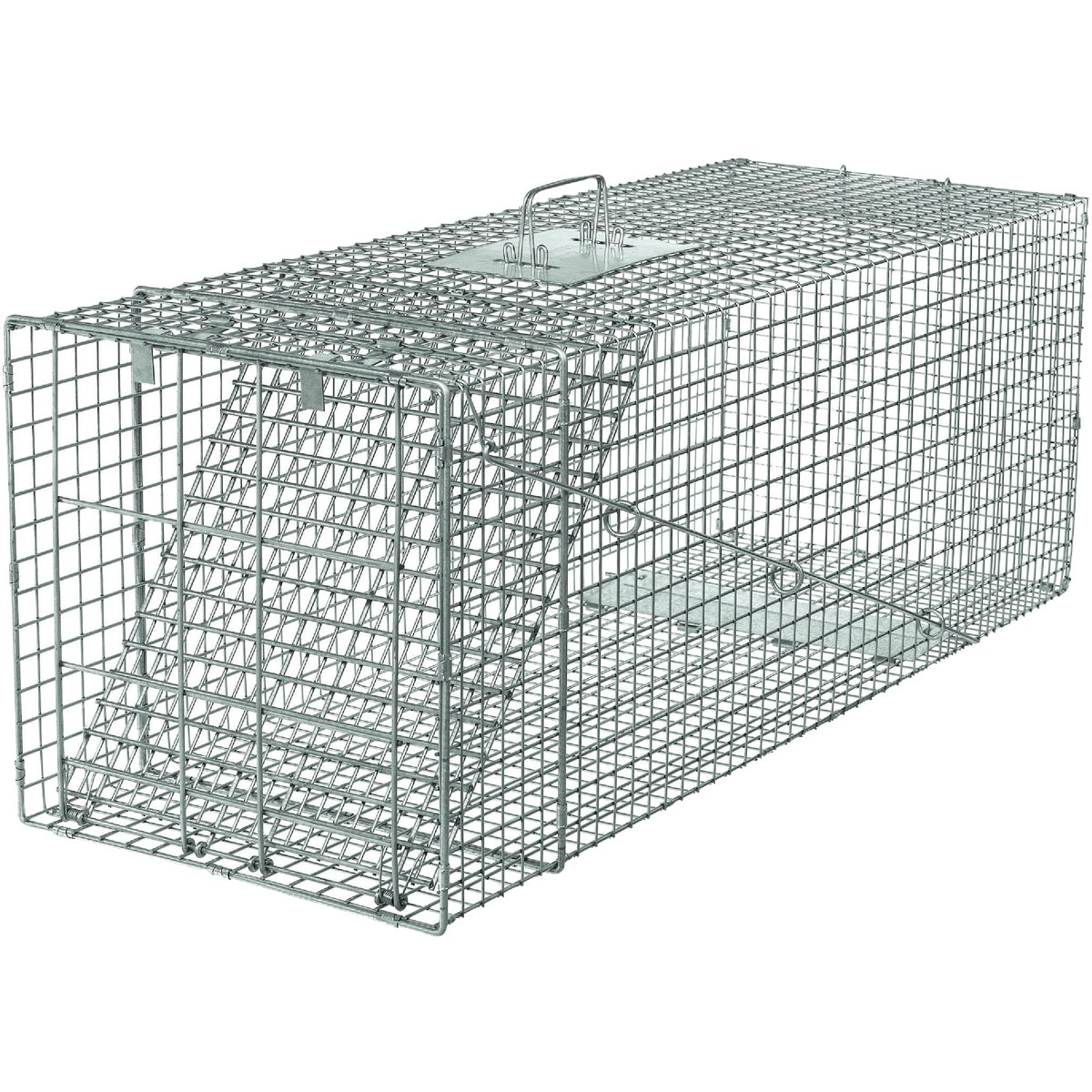 42X15X15 LG RACCOON TRAP - 1081 by Woodstream Corp