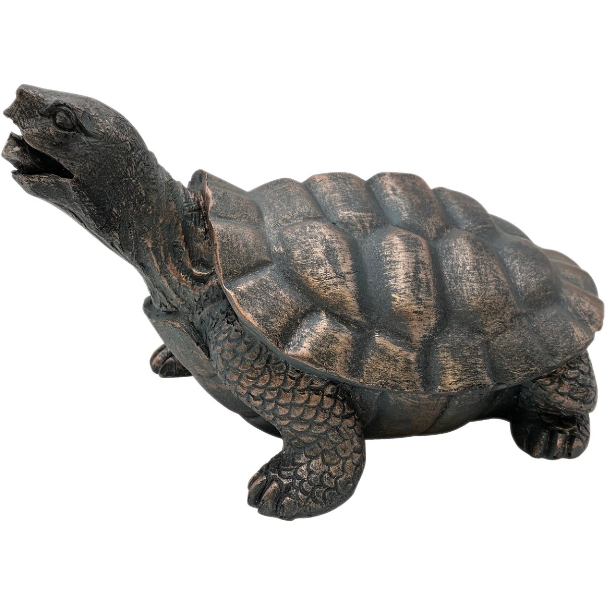TURTLE SPITTER - STTG by Geo Global Partners