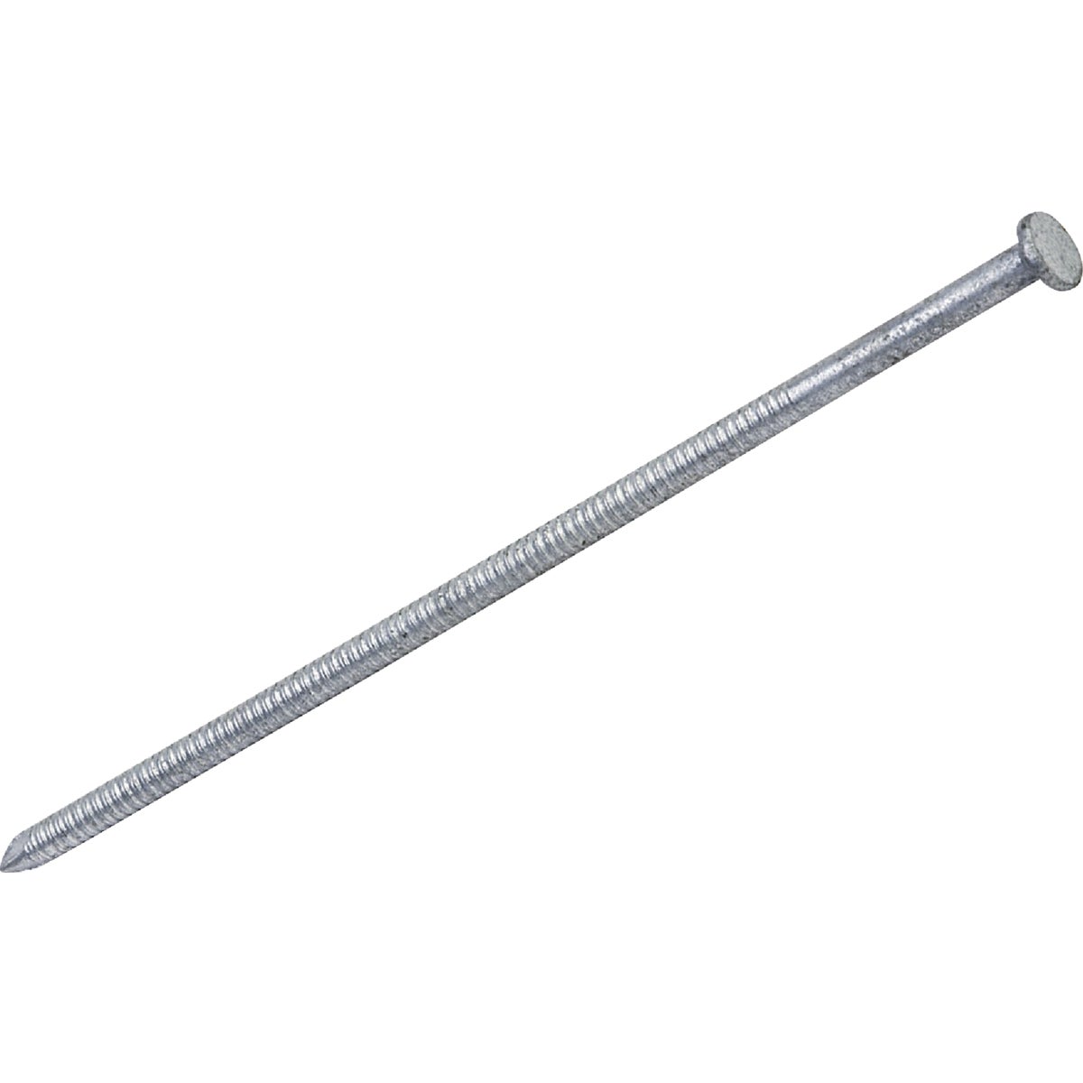 5LB HDG 40D POLBRN NAIL - 769181 by Primesource