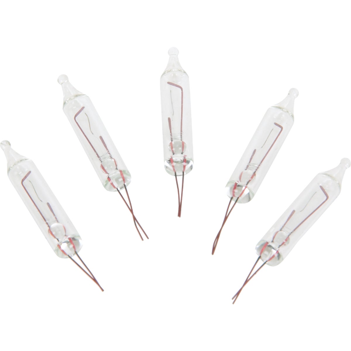 Polygroup Limited 5PK 12/14V CLEAR BULB DBX25-001036