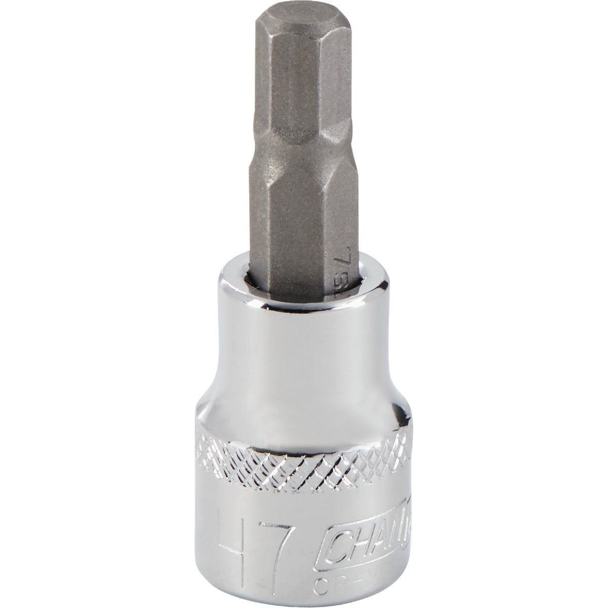 7MM HEX BIT SOCKET - 372366 by Bwt Inc