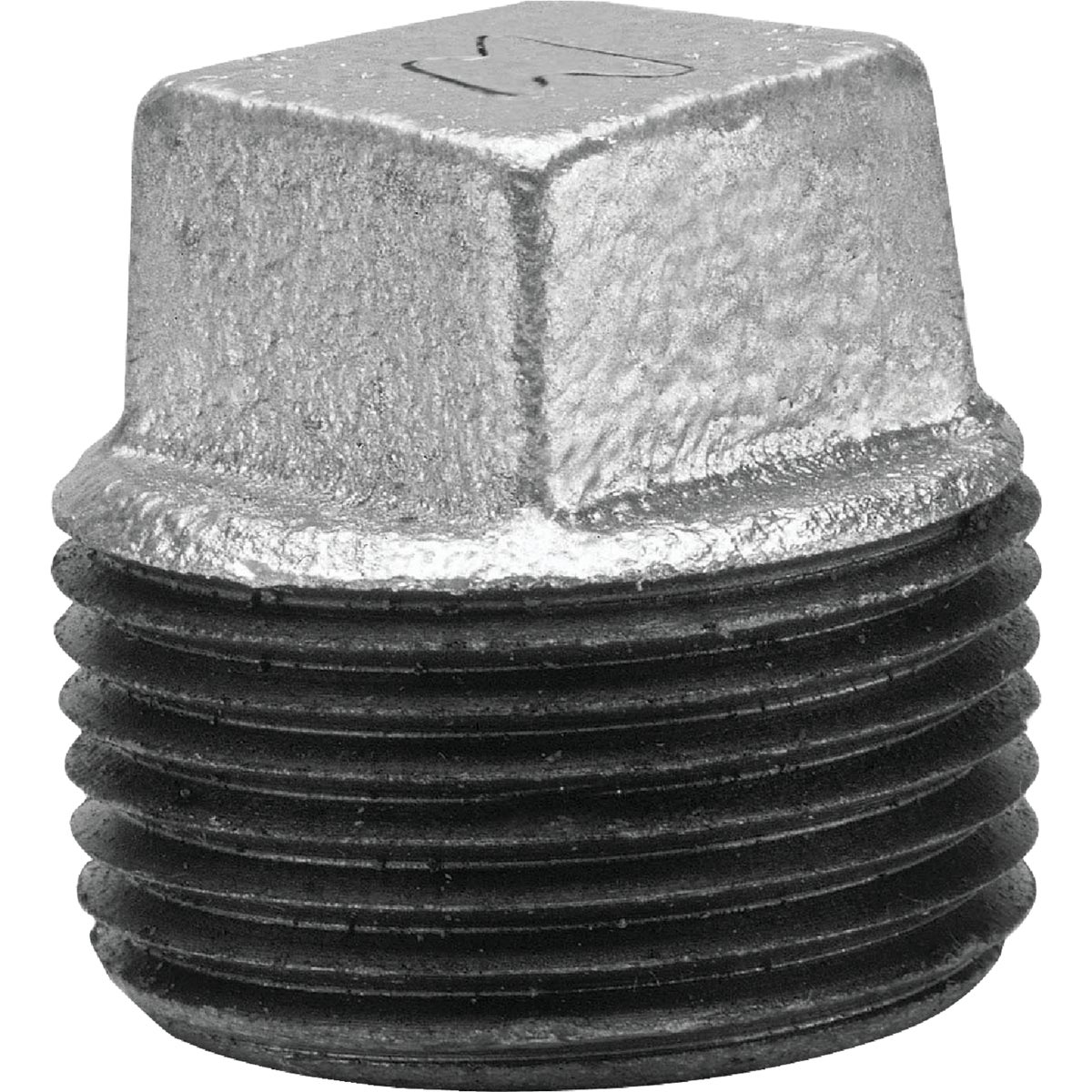 1/2" GALV SQ PLUG