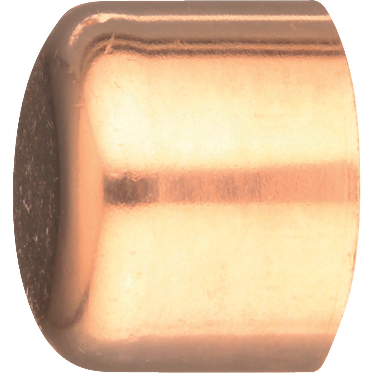 117-1/4" C TUBE CAP - 30622 by Elkhart Prod Corp