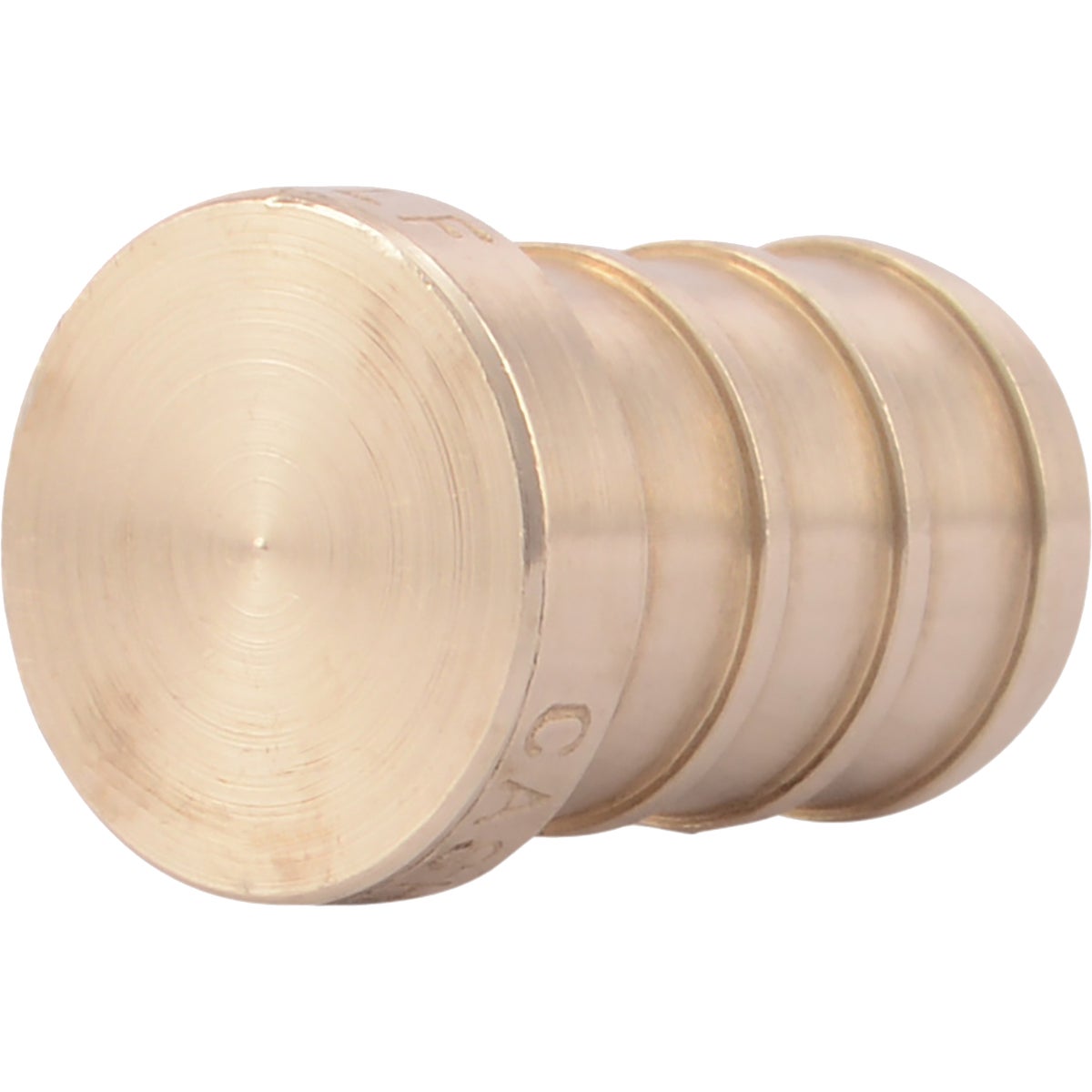1/2"CF BRASS TEST PLUG - LFP-580 by Watts Pex