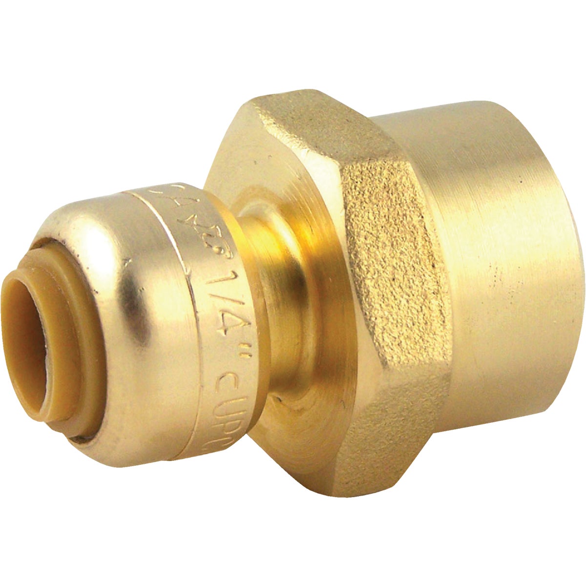 1/4"X1/2"F COUPLING - U066LFA by Cash Acme