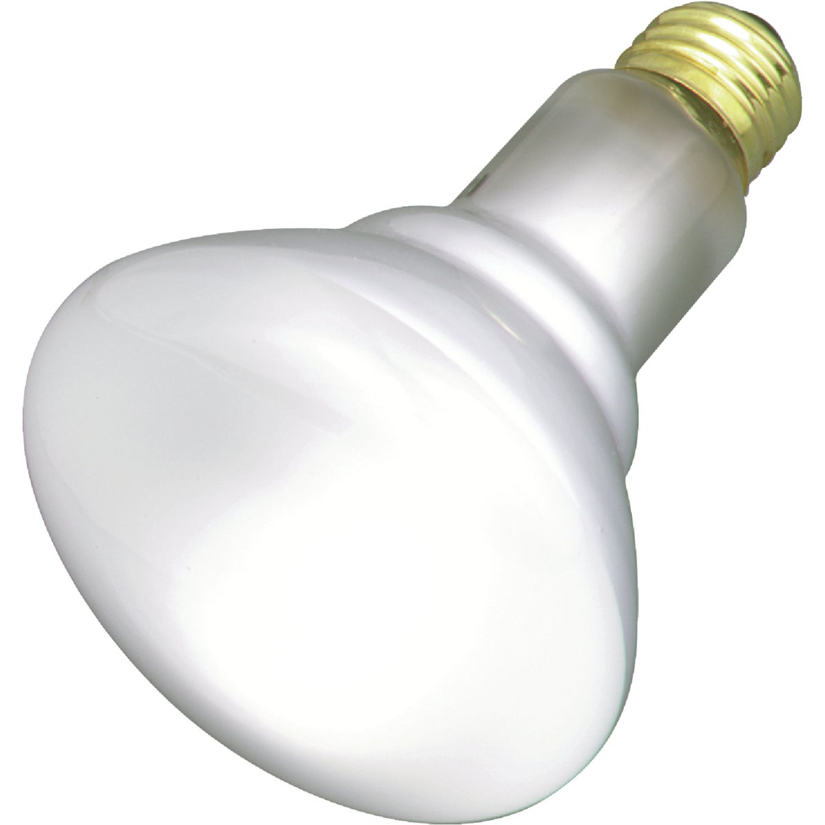 2PK 65W FL R30 BULB - 44488 65R30/FL/2PK by G E Lighting