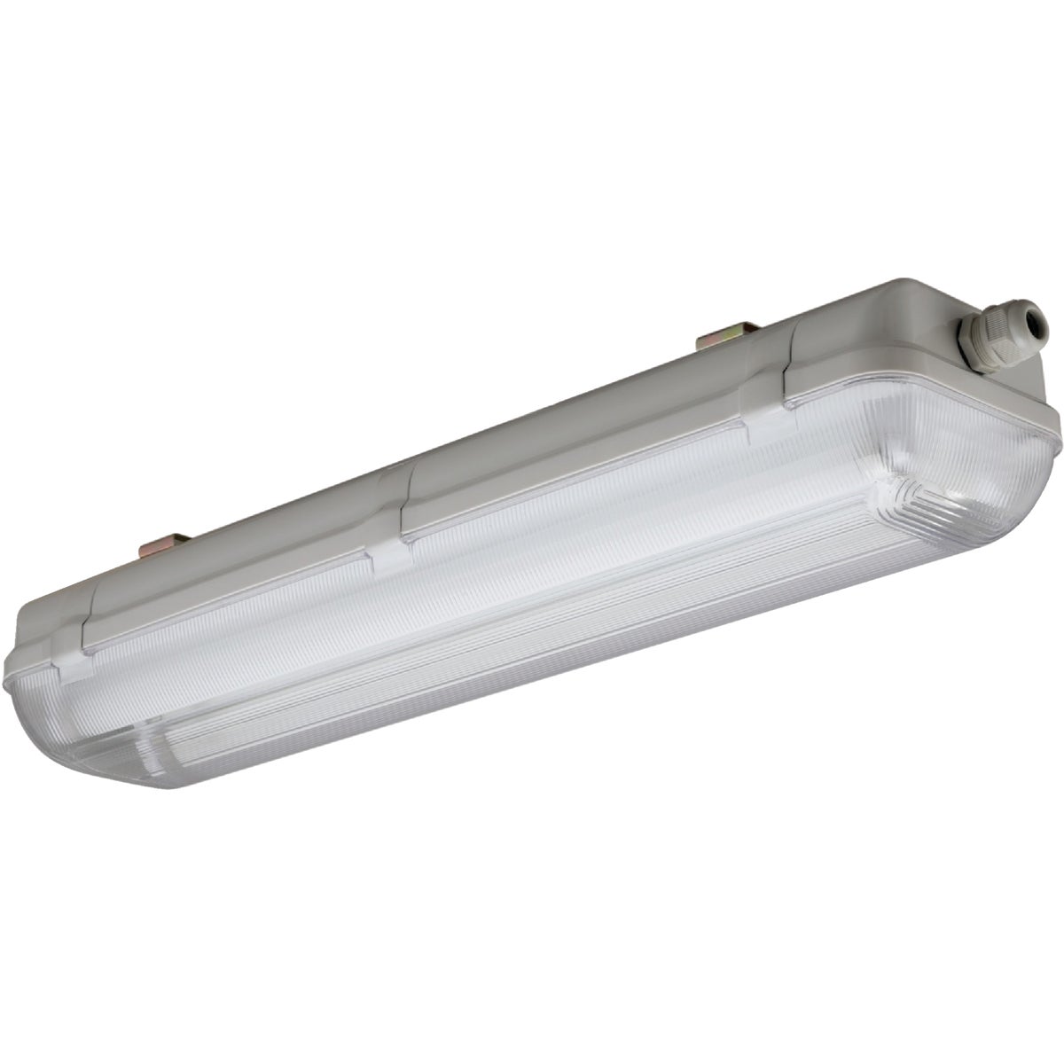 4' T8 2BULB ENCL FIXTURE - XWL 232 120 RE by Lithonia Lighting