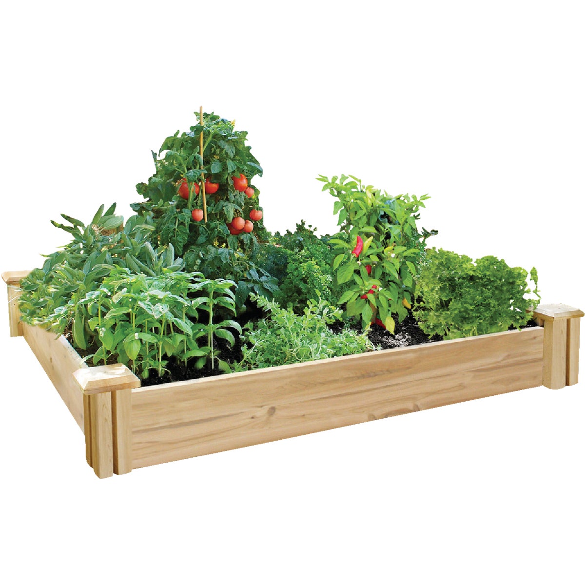 4'X4'CEDAR RAISED GARDEN - RC4C4 by Greenes Fence Co