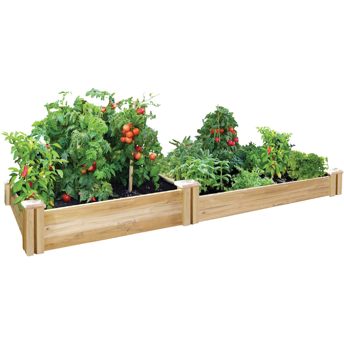 4'X8'CEDAR RAISED GARDEN - RC4C8T2 by Greenes Fence Co