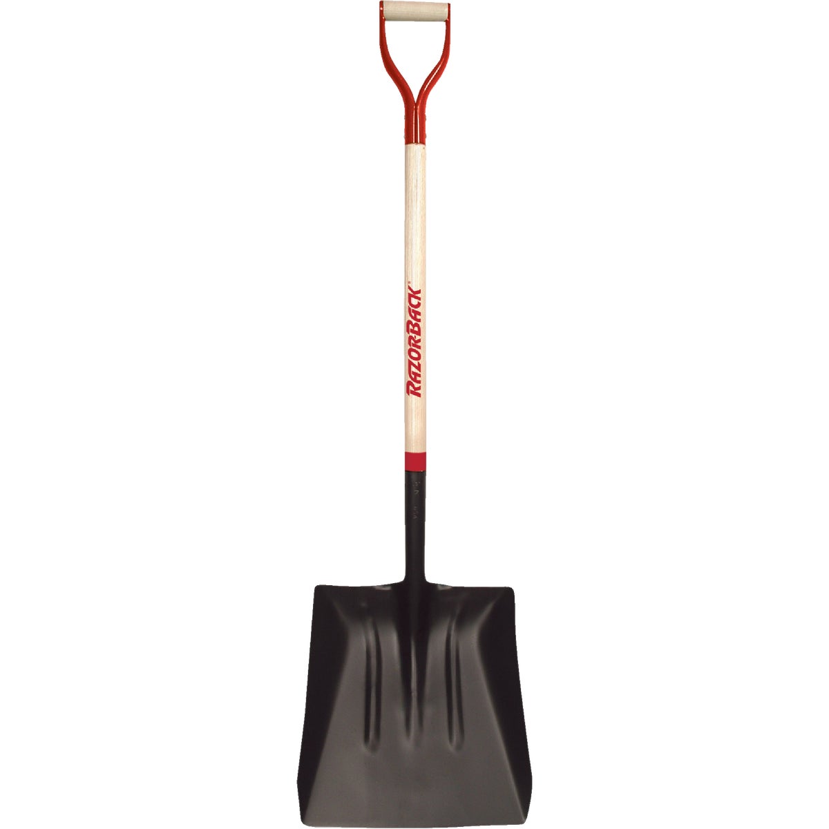 #4 D-HANDLE SCOOP SHOVEL - 1630300 by Ames True Temper