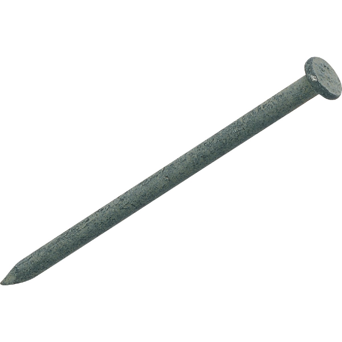50LB HDG 60D COMMON NAIL - 60HGC by Primesource