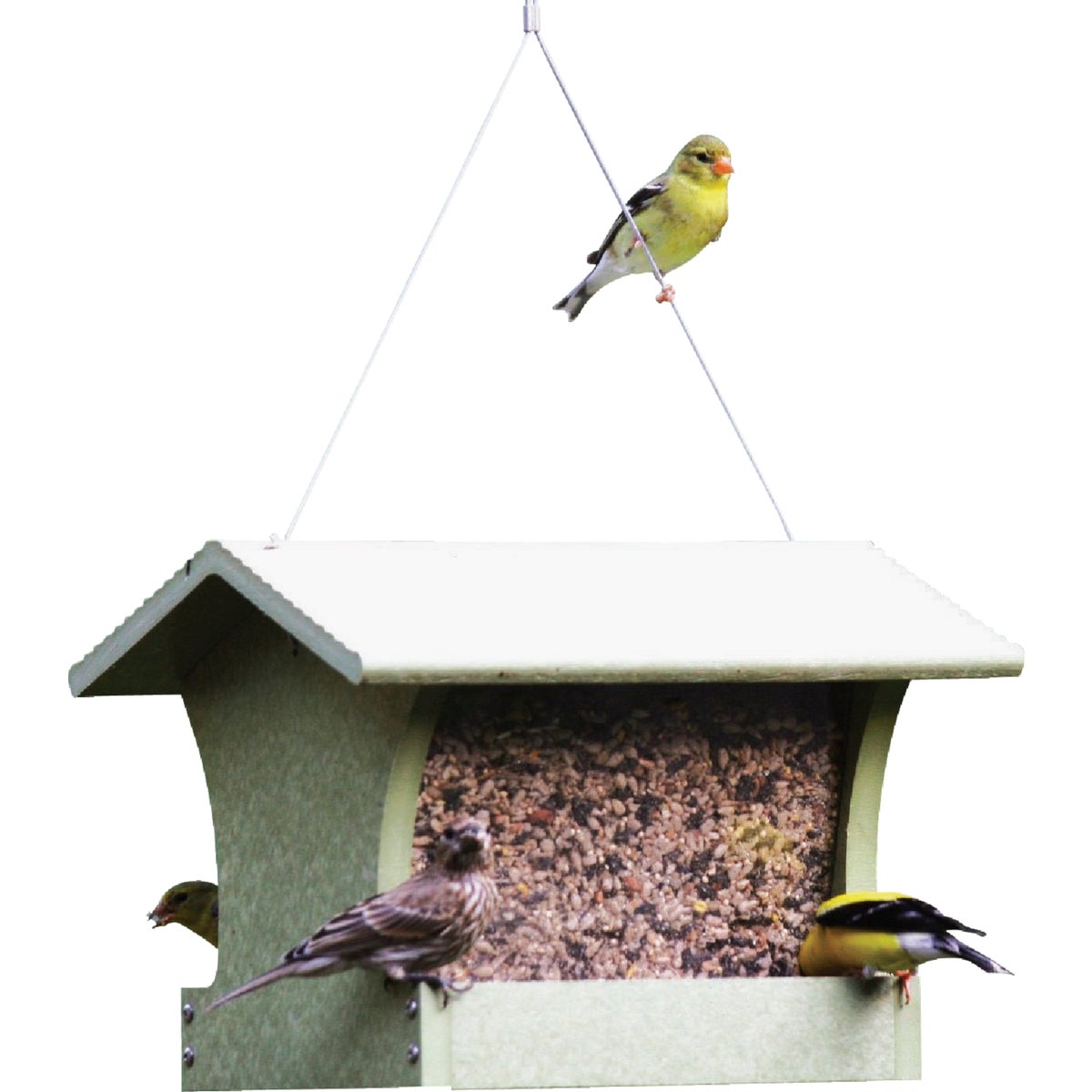 MEDIUM HOPPER FEEDER - GSHF200 by Birds Choice