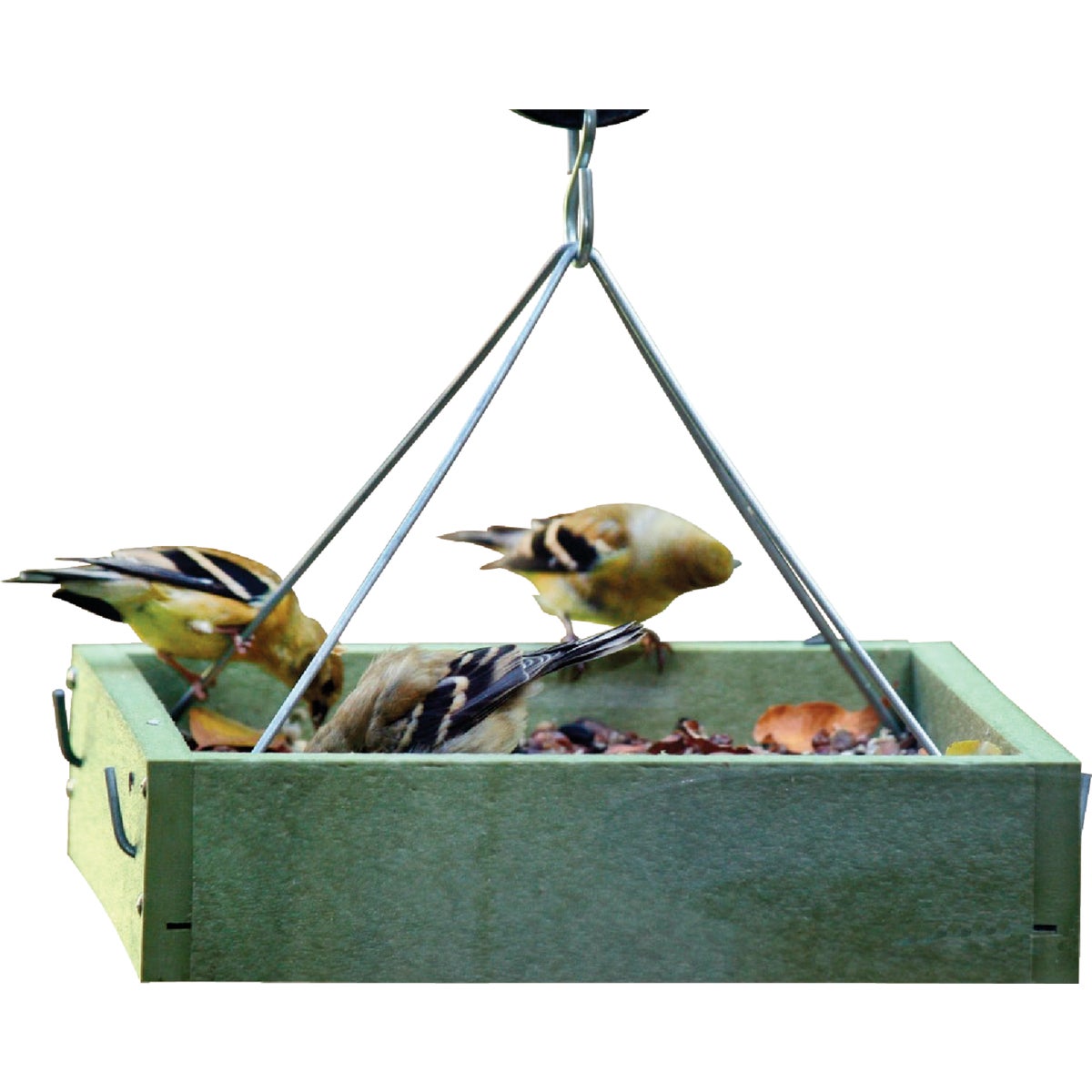 HANGING TRAY FEEDER - GSHPF100 by Birds Choice