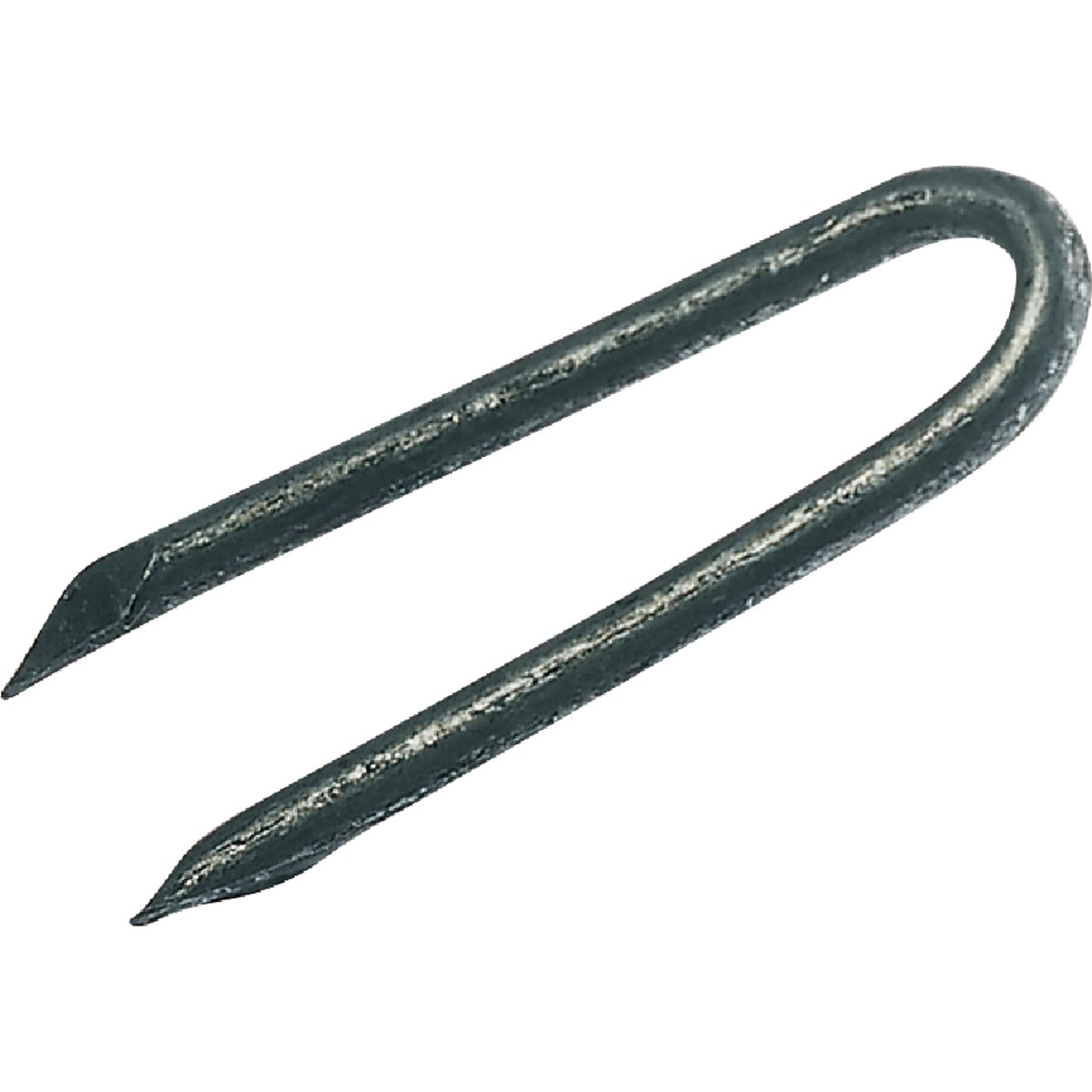 50LB HDG 2-1/2" STAPLE - 212HGFS by Primesource