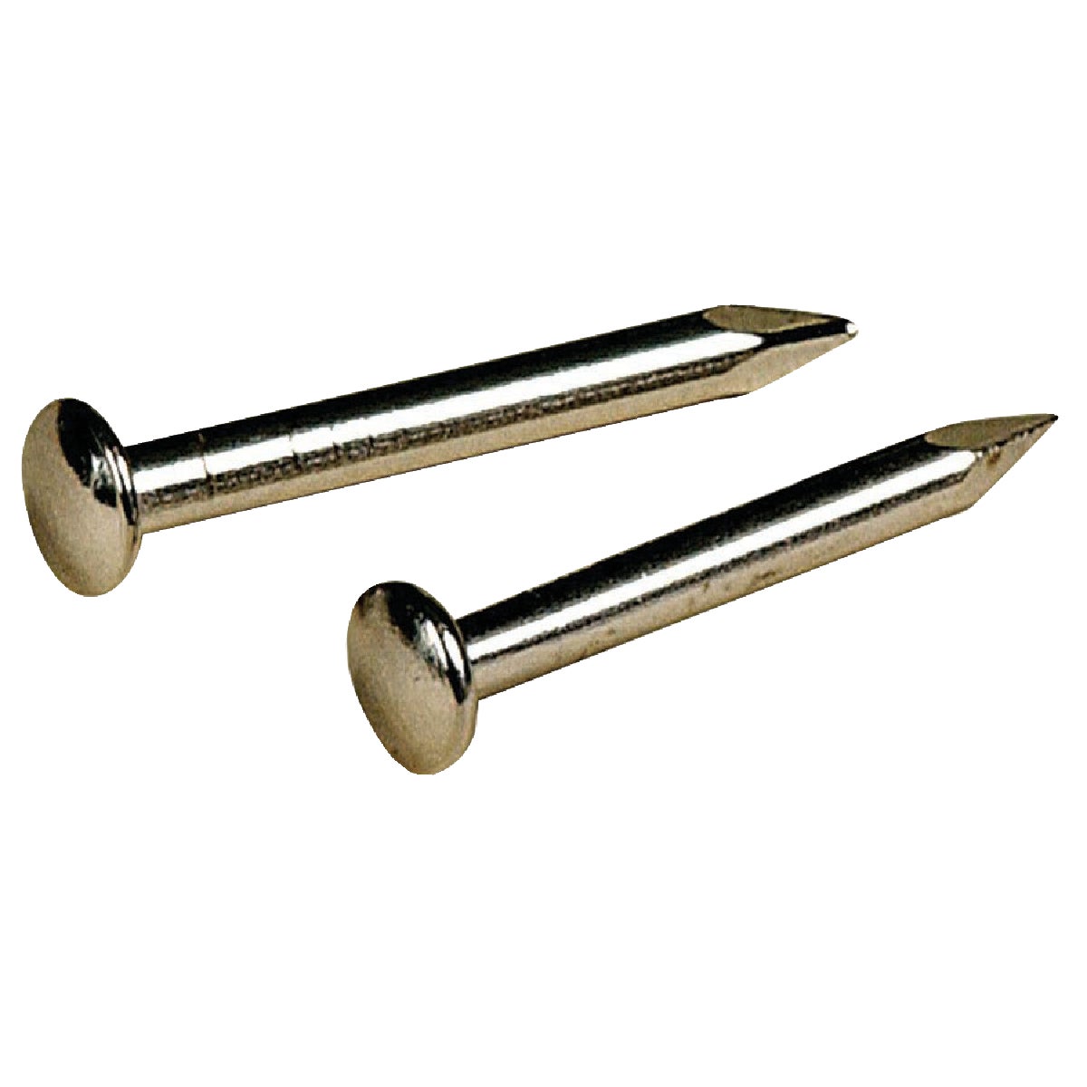 5/8X16 LINOLEUM NAIL - 122539 by Hillman Fastener