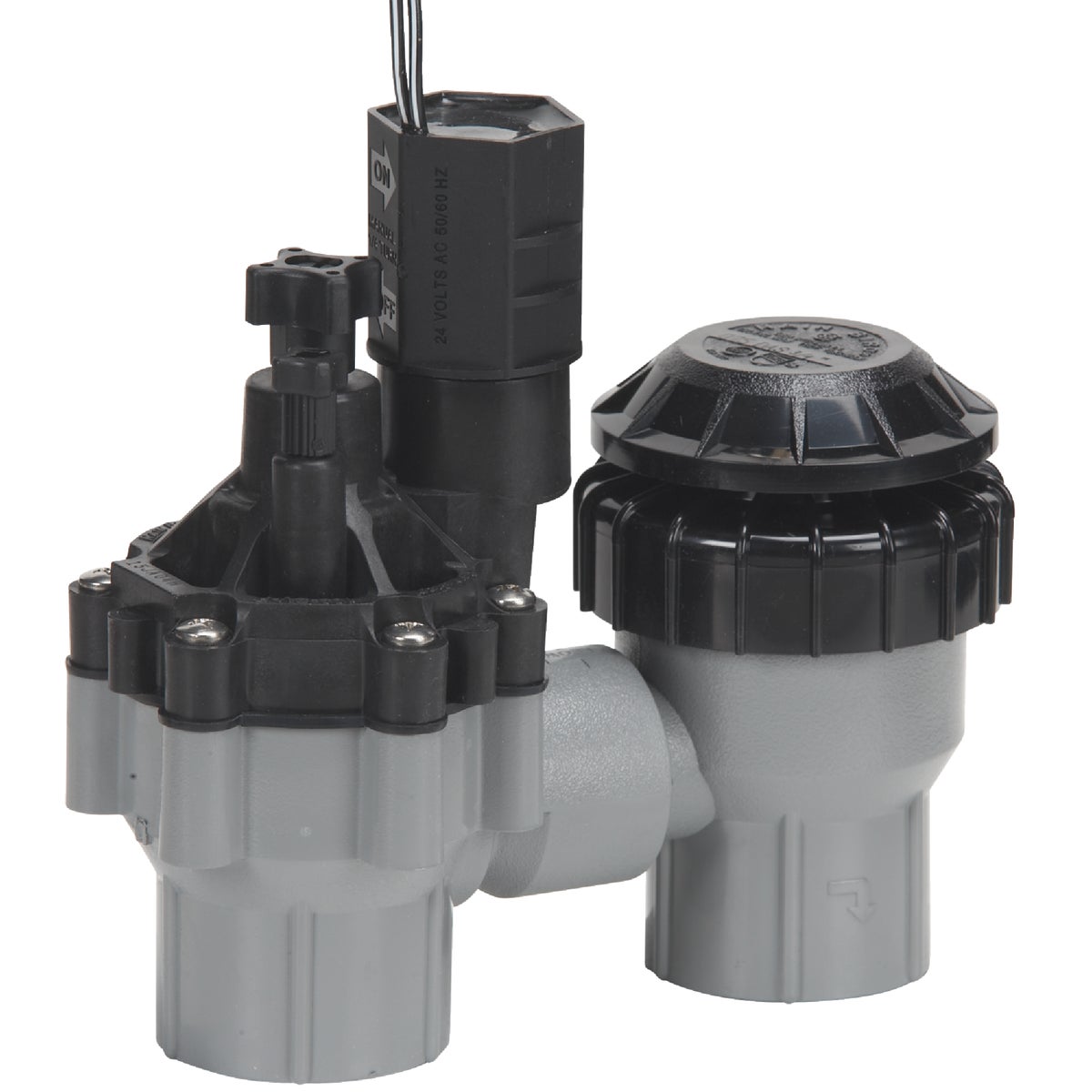 3/4"FL.ANTI-SIPHON VALVE - DAS-075 by Rain Bird Corp Consu