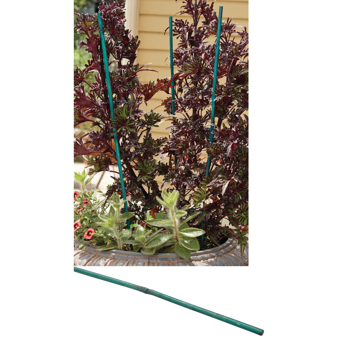 2' BAMBOO STAKE - 225 by Bond Mfg Co