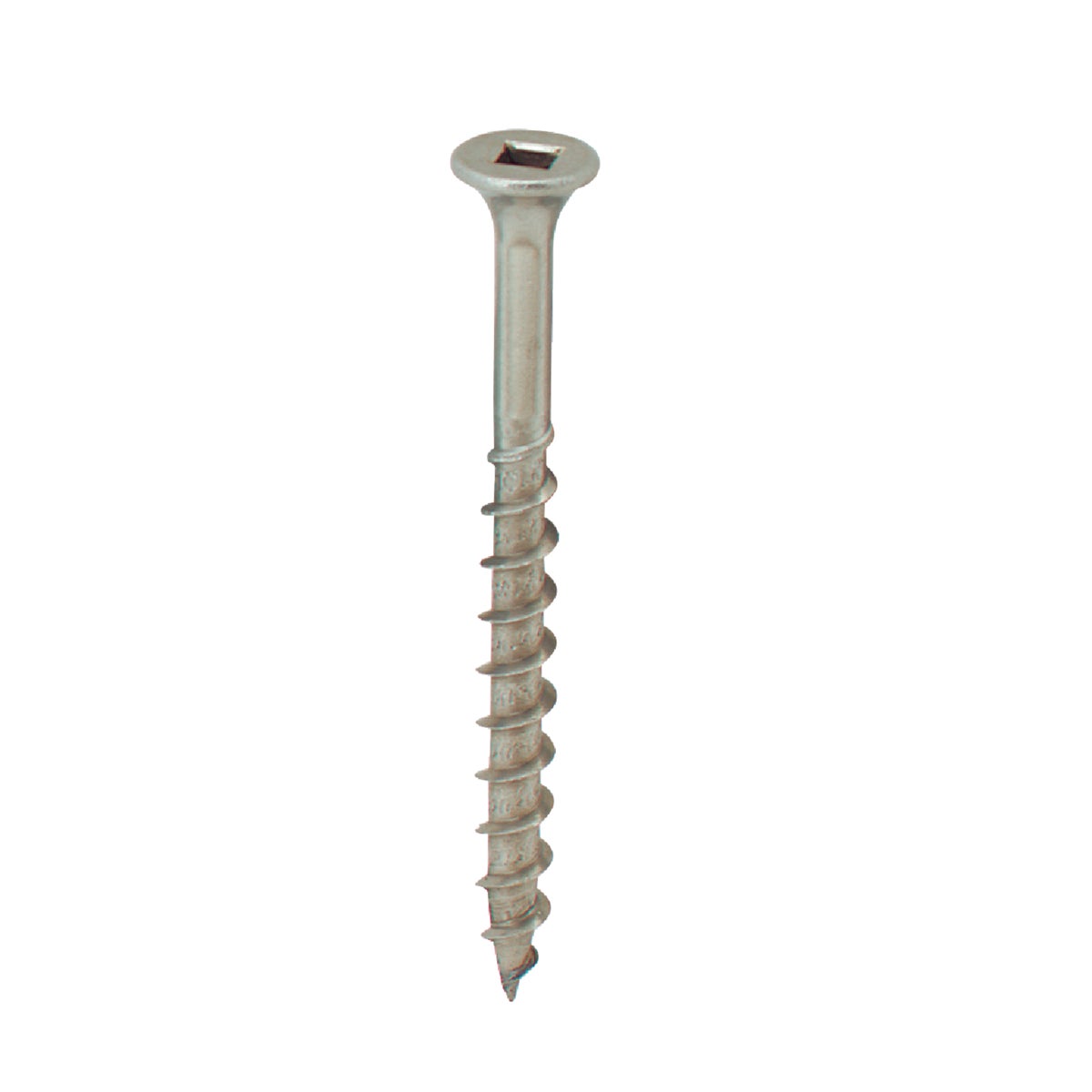 4LB SS SQ 8X2 SCREW - 720633 by Primesource