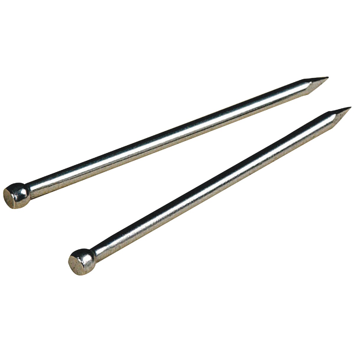 3/4X17 SS BRAD - 122526 by Hillman Fastener