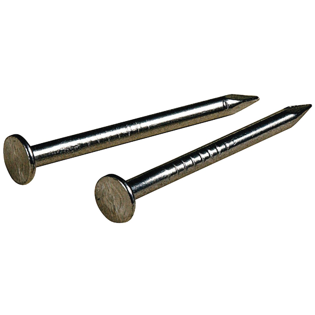 1X17 SS NAIL - 122532 by Hillman Fastener