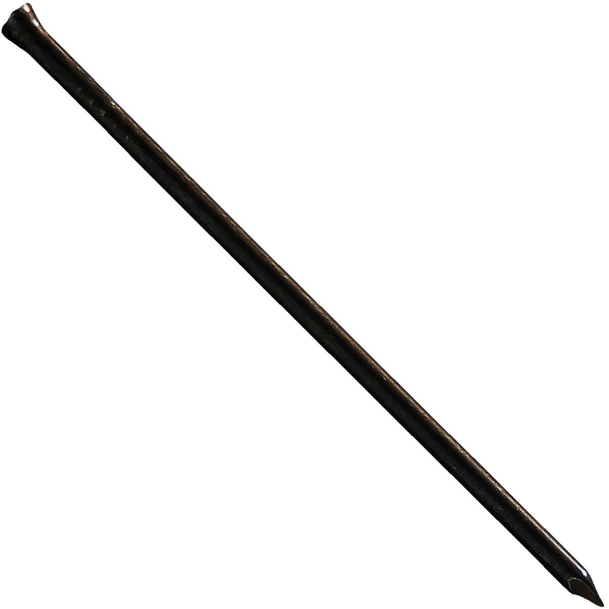 5LB 2-1/2" TRIM NAIL - HT250530 by Maze W H Co
