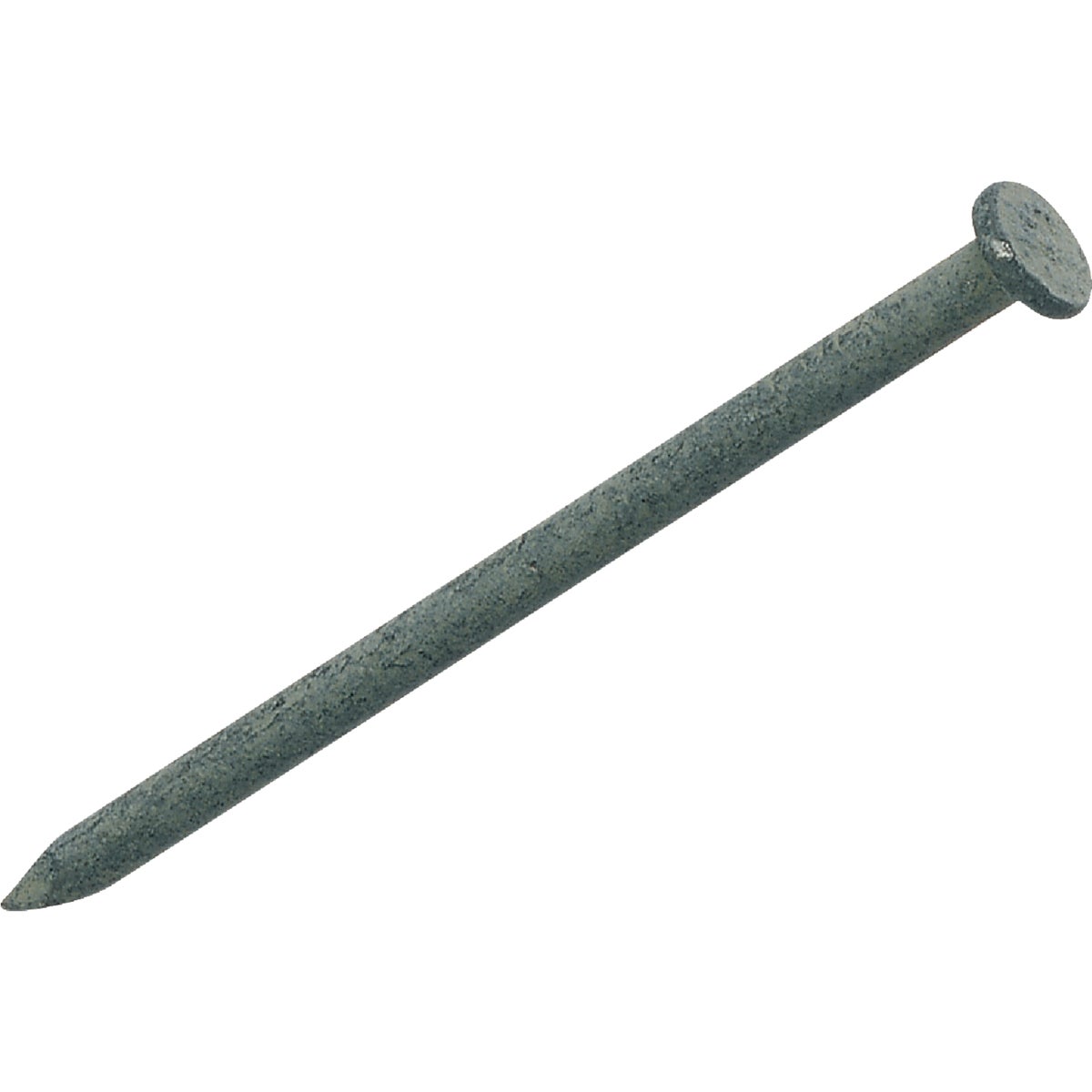 50LB HDG 40D COMMON NAIL - 40HGC by Primesource