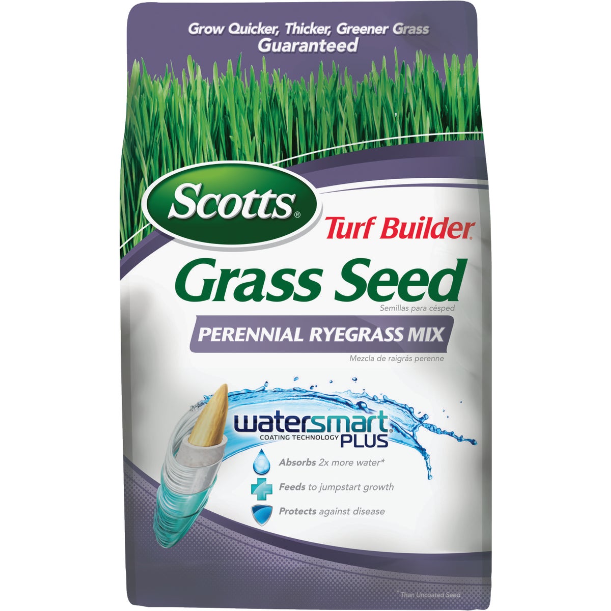 3LB TB PERENIAL RYEGRASS - 18260 by Scotts Company