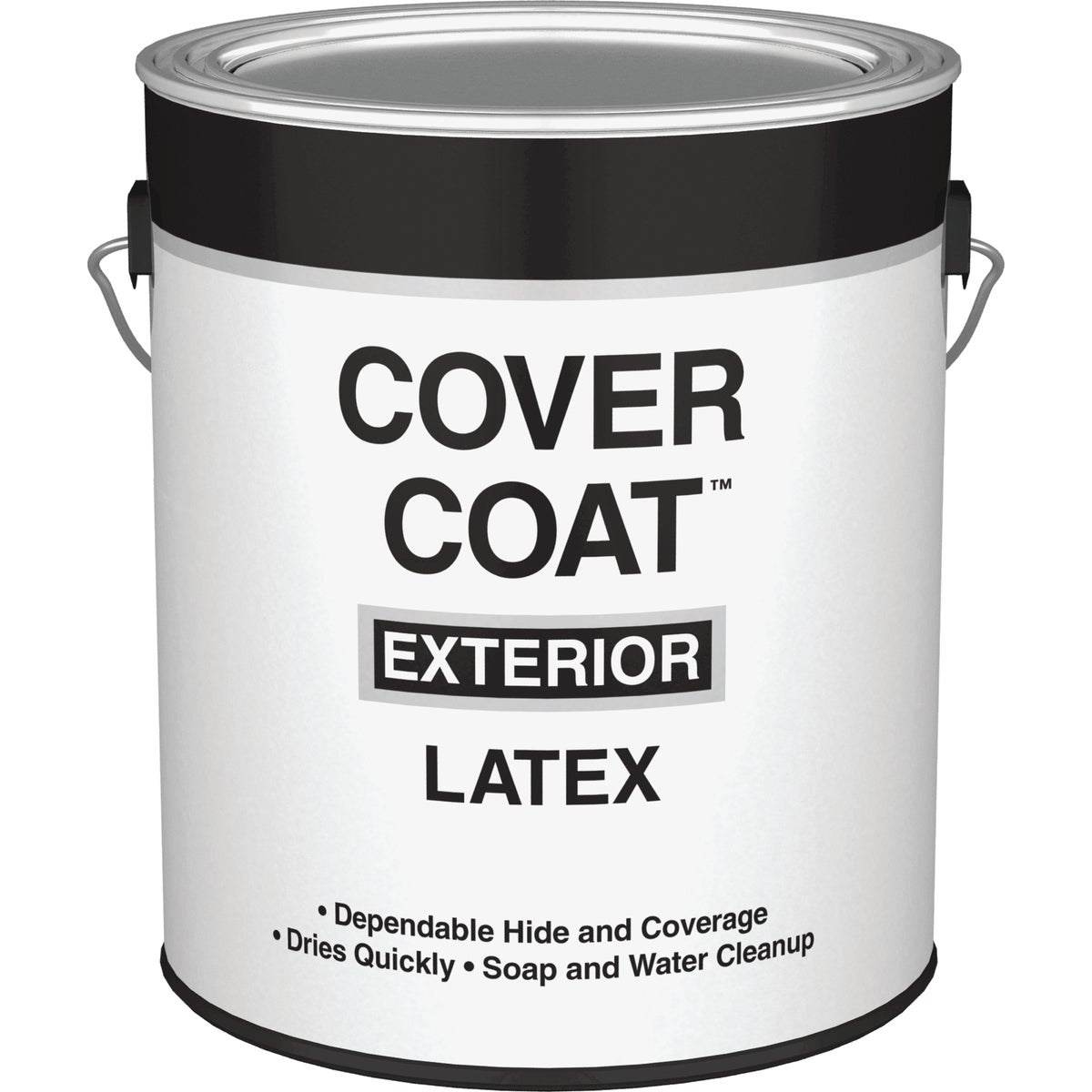 EXT FLAT WHITE PAINT - 044.0000555.007 by Valspar Corp