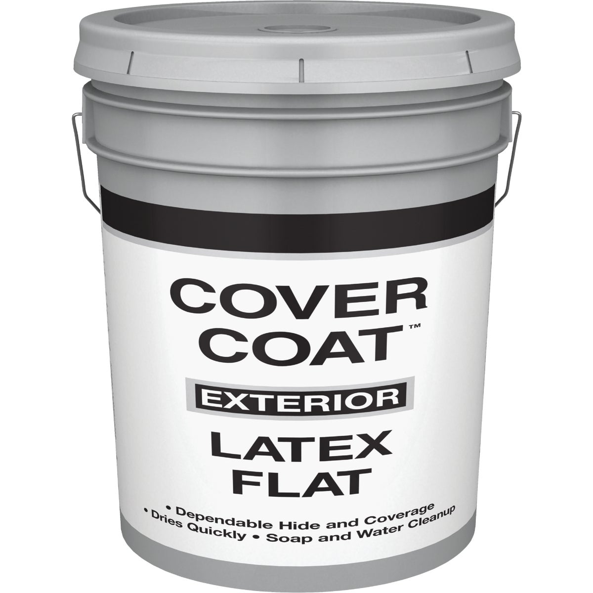 EXT FLAT WHITE PAINT - 044.0000555.008 by Valspar Corp