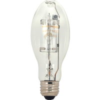 High-Intensity Light Bulbs