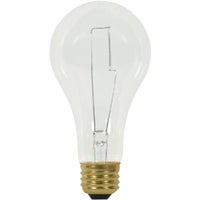 Incandescent A-Line Light Bulb