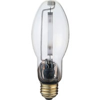 High-Intensity Light Bulb