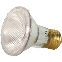 Halogen Floodlight Light Bulb