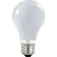 Halogen A-Line Light Bulb